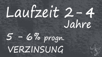FIM kurze Laufzeit hohe Verzinsung Sagoe Print Kopie FIM kurze Laufzeit hohe Verzinsung
