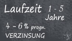 1 bis 5 Jahre Laufzeit 4 bis 6 Prozent Zinsen